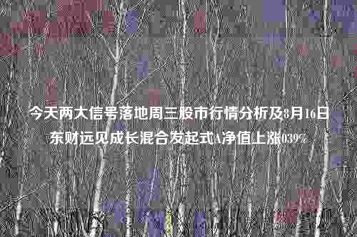 今天两大信号落地周三股市行情分析及8月16日东财远见成长混合发起式A净值上涨039%