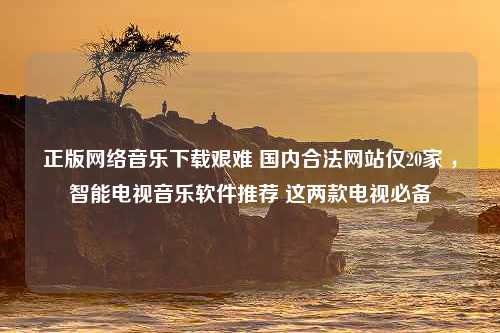 正版网络音乐下载艰难 国内合法网站仅20家 ，智能电视音乐软件推荐 这两款电视必备