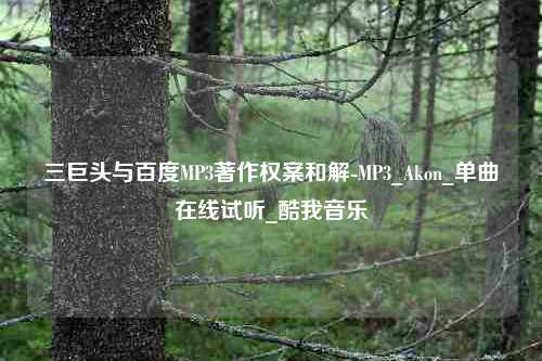 三巨头与百度MP3著作权案和解-MP3_Akon_单曲在线试听_酷我音乐