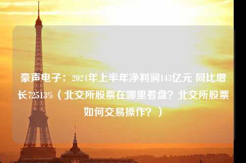 豪声电子：2024年上半年净利润143亿元 同比增长72513%（北交所股票在哪里看盘？北交所股票如何交易操作？）