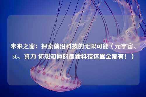 未来之窗：探索前沿科技的无限可能（元宇宙、5G、算力 你想知道的最新科技这里全都有！）