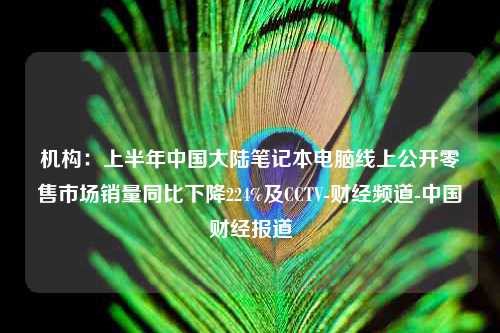 机构：上半年中国大陆笔记本电脑线上公开零售市场销量同比下降224%及CCTV-财经频道-中国财经报道