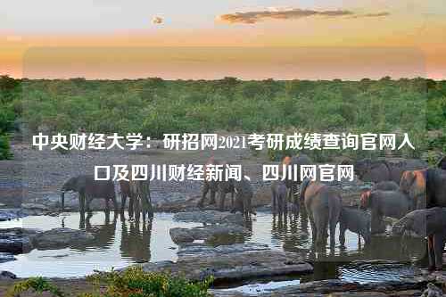 中央财经大学：研招网2021考研成绩查询官网入口及四川财经新闻、四川网官网