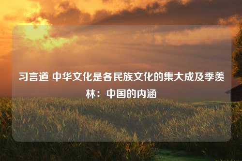 习言道 中华文化是各民族文化的集大成及季羡林：中国的内涵