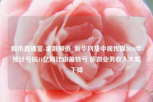 股市直播室-金融频道_新华网及中视传媒2020年预计亏损11亿同比由盈转亏 旅游业务收入大幅下降