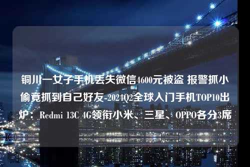 铜川一女子手机丢失微信4600元被盗 报警抓小偷竟抓到自己好友-2024Q2全球入门手机TOP10出炉：Redmi 13C 4G领衔小米、三星、OPPO各分3席