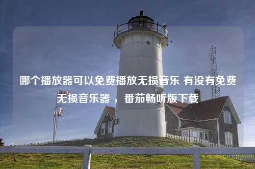 哪个播放器可以免费播放无损音乐 有没有免费无损音乐器 ，番茄畅听版下载