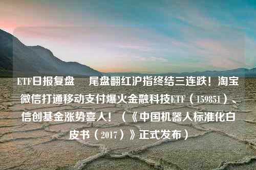 ETF日报复盘  尾盘翻红沪指终结三连跌！淘宝微信打通移动支付爆火金融科技ETF（159851）、信创基金涨势喜人！（《中国机器人标准化白皮书（2017）》正式发布）