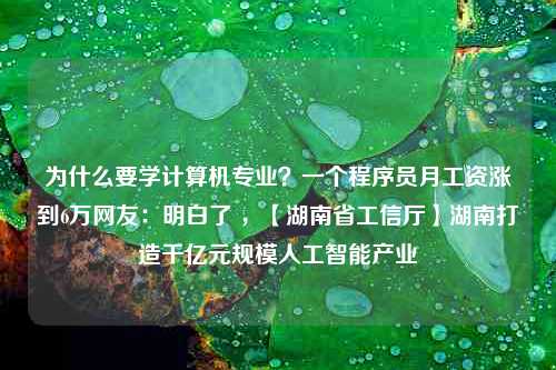 为什么要学计算机专业？一个程序员月工资涨到6万网友：明白了 ，【湖南省工信厅】湖南打造千亿元规模人工智能产业