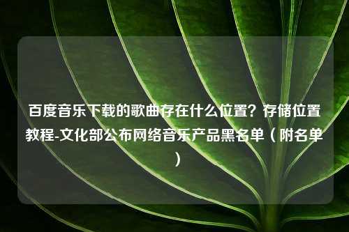 百度音乐下载的歌曲存在什么位置？存储位置教程-文化部公布网络音乐产品黑名单（附名单）