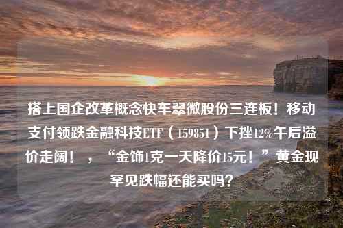 搭上国企改革概念快车翠微股份三连板！移动支付领跌金融科技ETF（159851）下挫12%午后溢价走阔！ ，“金饰1克一天降价15元！”黄金现罕见跌幅还能买吗？