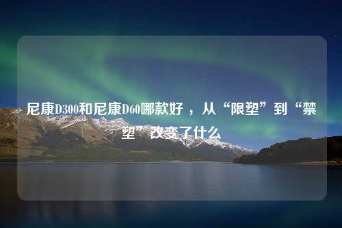 尼康D300和尼康D60哪款好 ，从“限塑”到“禁塑”改变了什么