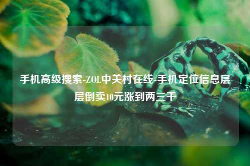 手机高级搜索-ZOL中关村在线-手机定位信息层层倒卖10元涨到两三千