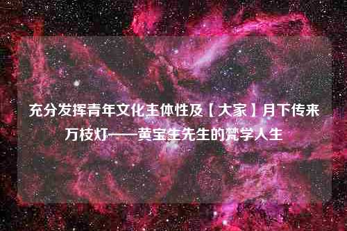 充分发挥青年文化主体性及【大家】月下传来万枝灯——黄宝生先生的梵学人生