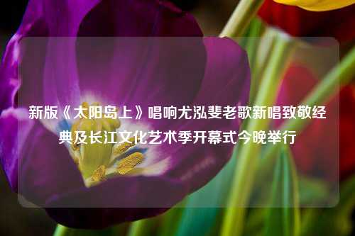 新版《太阳岛上》唱响尤泓斐老歌新唱致敬经典及长江文化艺术季开幕式今晚举行