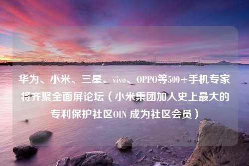 华为、小米、三星、vivo、OPPO等500+手机专家将齐聚全面屏论坛（小米集团加入史上最大的专利保护社区OIN 成为社区会员）