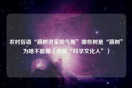 农村俗语“荫树进家阳气断”哪些树是“荫树”为啥不能栽（小议“科学文化人”）