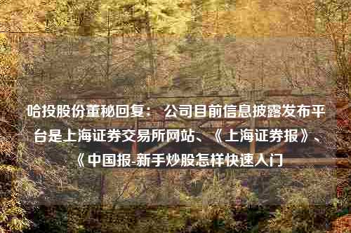 哈投股份董秘回复： 公司目前信息披露发布平台是上海证券交易所网站、《上海证券报》、《中国报-新手炒股怎样快速入门