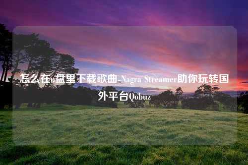 怎么在u盘里下载歌曲-Nagra Streamer助你玩转国外平台Qobuz