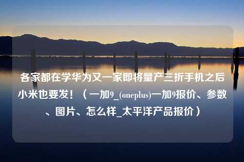 各家都在学华为又一家即将量产三折手机之后小米也要发！（一加9_(oneplus)一加9报价、参数、图片、怎么样_太平洋产品报价）