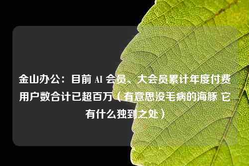 金山办公：目前 AI 会员、大会员累计年度付费用户数合计已超百万（有意思没毛病的海豚 它有什么独到之处）