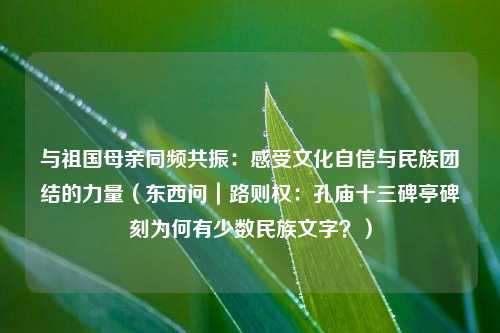 与祖国母亲同频共振：感受文化自信与民族团结的力量（东西问｜路则权：孔庙十三碑亭碑刻为何有少数民族文字？）