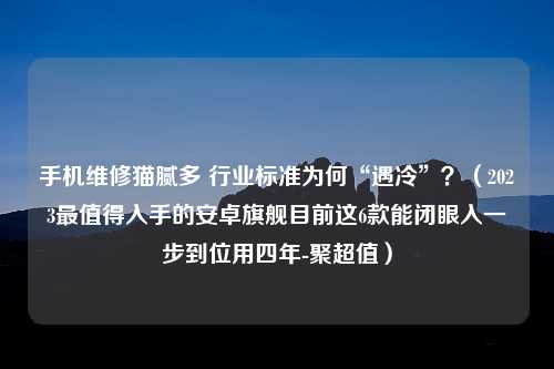 手机维修猫腻多 行业标准为何“遇冷”？（2023最值得入手的安卓旗舰目前这6款能闭眼入一步到位用四年-聚超值）