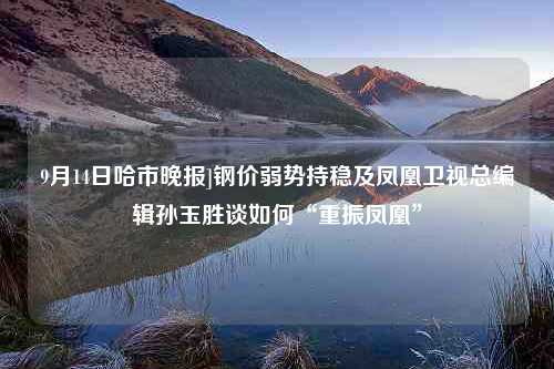 9月14日哈市晚报]钢价弱势持稳及凤凰卫视总编辑孙玉胜谈如何“重振凤凰”