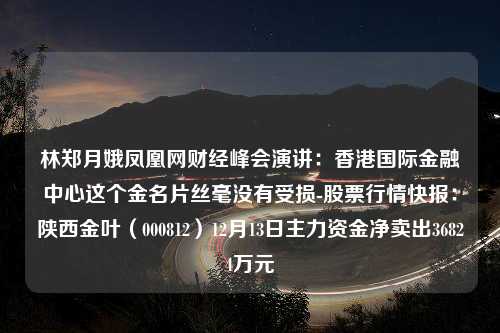 林郑月娥凤凰网财经峰会演讲：香港国际金融中心这个金名片丝毫没有受损-股票行情快报：陕西金叶（000812）12月13日主力资金净卖出36824万元