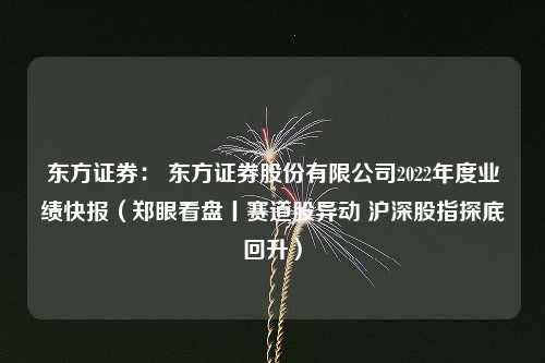 东方证券： 东方证券股份有限公司2022年度业绩快报（郑眼看盘丨赛道股异动 沪深股指探底回升）