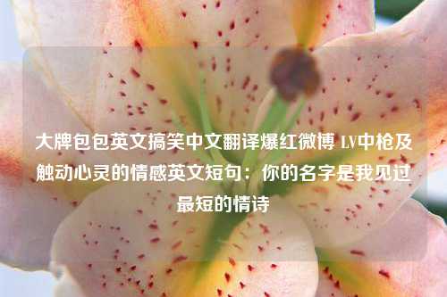 大牌包包英文搞笑中文翻译爆红微博 LV中枪及触动心灵的情感英文短句：你的名字是我见过最短的情诗