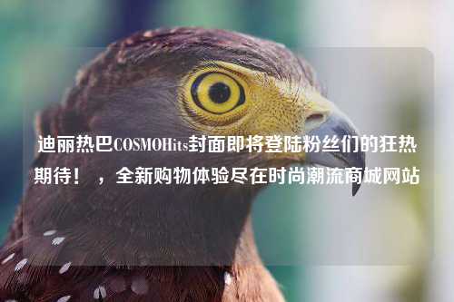 迪丽热巴COSMOHits封面即将登陆粉丝们的狂热期待！ ，全新购物体验尽在时尚潮流商城网站