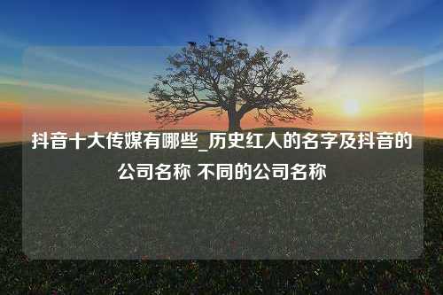 抖音十大传媒有哪些_历史红人的名字及抖音的公司名称 不同的公司名称