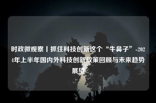 时政微观察丨抓住科技创新这个“牛鼻子”-2024年上半年国内外科技创新政策回顾与未来趋势展望