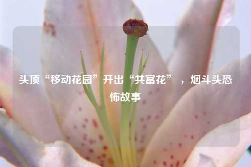 头顶“移动花园”开出“共富花” ，烟斗头恐怖故事