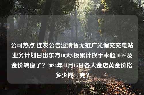 公司热点 连发公告澄清暂无推广光储充充电站业务计划日出东方10天9板累计换手率超100%及金价转稳了？2024年11月15日各大金店黄金价格多少钱一克？