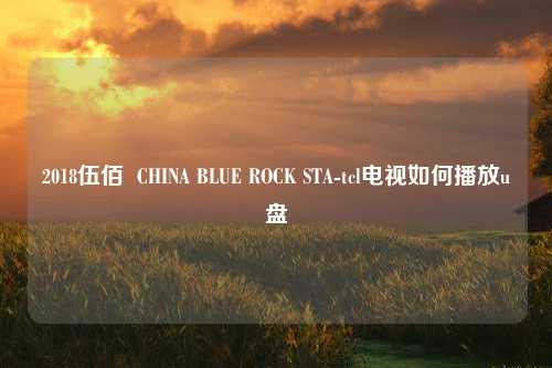 2018伍佰  CHINA BLUE ROCK STA-tcl电视如何播放u盘