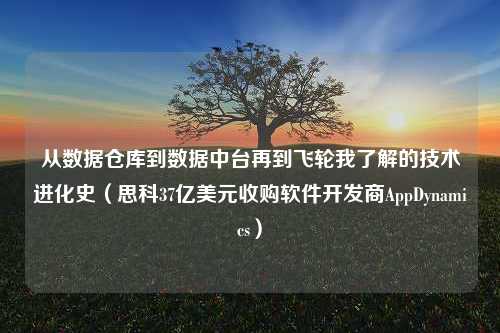 从数据仓库到数据中台再到飞轮我了解的技术进化史（思科37亿美元收购软件开发商AppDynamics）