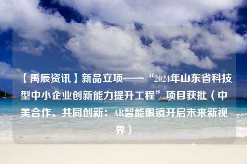 【禹辰资讯】新品立项——“2024年山东省科技型中小企业创新能力提升工程”项目获批（中美合作、共同创新：AR智能眼镜开启未来新视界）