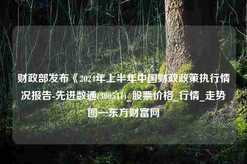 财政部发布《2024年上半年中国财政政策执行情况报告-先进数通(300541)_股票价格_行情_走势图—东方财富网