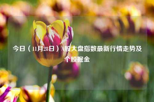 今日（11月28日）A股大盘指数最新行情走势及个股掘金