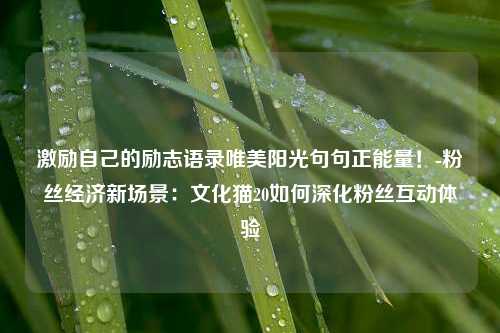 激励自己的励志语录唯美阳光句句正能量！-粉丝经济新场景：文化猫20如何深化粉丝互动体验