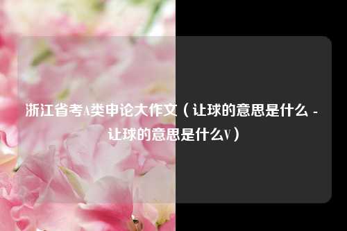 浙江省考A类申论大作文（让球的意思是什么 - 让球的意思是什么V）