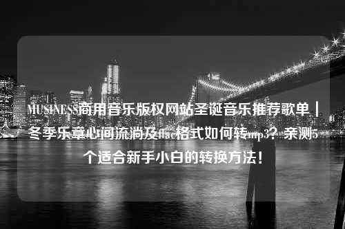 MUSINESS商用音乐版权网站圣诞音乐推荐歌单｜冬季乐章心间流淌及flac格式如何转mp3？亲测5个适合新手小白的转换方法！