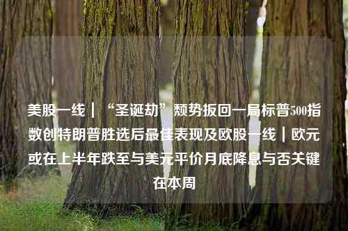 美股一线｜“圣诞劫”颓势扳回一局标普500指数创特朗普胜选后最佳表现及欧股一线｜欧元或在上半年跌至与美元平价月底降息与否关键在本周