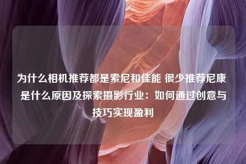 为什么相机推荐都是索尼和佳能 很少推荐尼康 是什么原因及探索摄影行业：如何通过创意与技巧实现盈利