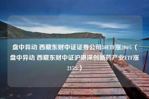 盘中异动 西藏东财中证证券公司30ETF涨206%（盘中异动 西藏东财中证沪港深创新药产业ETF涨215%）