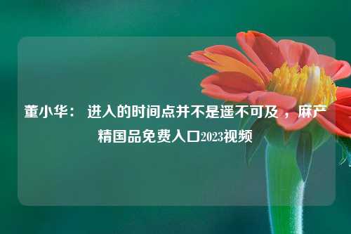 董小华： 进入的时间点并不是遥不可及 ，麻产精国品免费入口2023视频