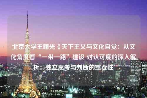 北京大学王曙光《天下主义与文化自觉：从文化角度看“一带一路”建设-对认可度的深入解析：独立思考与判断的重要性